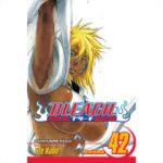 MANGA Bleach  Vol. 42 Viz