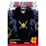 MANGA Bleach Vol. 43 VIZ