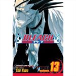 MANGA Bleach  Vol. 13  VIZ