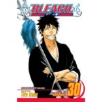 MANGA Bleach Vol. 30 VIZ