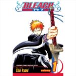 Manga Bleach Vol. 01 VIZ