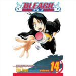 MANGA Bleach  Vol. 14 VIZ