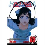 MANGA Bleach  Vol. 65 Viz