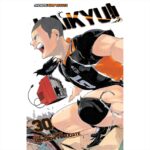 MANGA HAIKYU GN VOL 30 VIZ