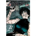 Manga Jujutsu Kaisen Vol. 22
