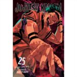 Manga Jujutsu Kaisen Vol. 25 VIZ