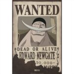 Abysse One Piece - Edward Newgate Wanted Poster 52x38cm ABYDCO370