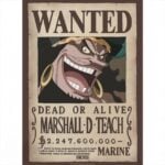 Abysse One Piece - Wanted Blackbeard Poster Chibi 52x38cm GBYDCO267