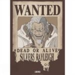 Abysse One Piece - Wanted Rayleigh Poster 52x38cm GBYDCO268