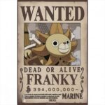 Abysse One Piece - Franky Wanted Poster 52x38cm