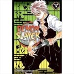 MANGA Demon Slayer Kimetsu No Yaiba Vol. 17 VIZ