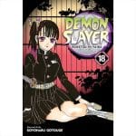 Manga Demon Slayer kimetsu No Yaiba Vol. 18 VIZ