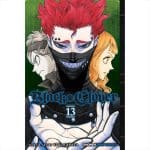 Manga Black Clover Vol 13 Viz